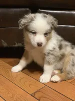 processed/6e2650b2-6121-4947-b16c-ba78891e8d15/listing/f26a6157-9499-4ab6-8fb5-8125eda0118a/3ec13e6a-bd9a-4b8a-a33a-3d9831989f2b