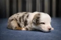 processed/6e2650b2-6121-4947-b16c-ba78891e8d15/listing/f26a6157-9499-4ab6-8fb5-8125eda0118a/446fd7d0-2ead-417c-9539-c3bb538f326c