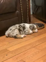 processed/6e2650b2-6121-4947-b16c-ba78891e8d15/listing/f26a6157-9499-4ab6-8fb5-8125eda0118a/50f7015c-b493-4a54-a539-31f5d29baedd