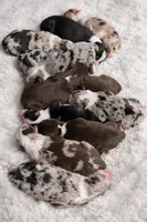 processed/6e2650b2-6121-4947-b16c-ba78891e8d15/listing/f26a6157-9499-4ab6-8fb5-8125eda0118a/e655a71b-eb81-464d-9dac-14c9ed34325f