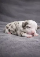 processed/6e2650b2-6121-4947-b16c-ba78891e8d15/listing/f26a6157-9499-4ab6-8fb5-8125eda0118a/ed466d04-2e44-44ee-b594-e0af3a8c5d44