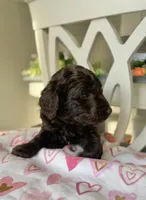 processed/6e35611e-91a1-4f55-a270-ad0562519a30/listing/61286a1f-319b-429b-99a5-6b985ac04cdc/283e2532-30a8-42be-9dbd-5daacd336d20