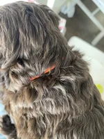 processed/6e35611e-91a1-4f55-a270-ad0562519a30/listing/61286a1f-319b-429b-99a5-6b985ac04cdc/2b59a8d3-0d08-4627-bfb0-50b9bfb1f78d