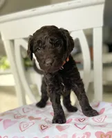 processed/6e35611e-91a1-4f55-a270-ad0562519a30/listing/61286a1f-319b-429b-99a5-6b985ac04cdc/534cf192-5392-4290-a2d9-b2eba6436069