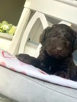 processed/6e35611e-91a1-4f55-a270-ad0562519a30/listing/61286a1f-319b-429b-99a5-6b985ac04cdc/922cdcb5-d8ce-4cc0-b961-d41dc7388511