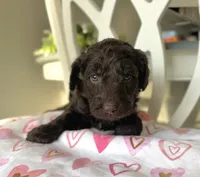 processed/6e35611e-91a1-4f55-a270-ad0562519a30/listing/61286a1f-319b-429b-99a5-6b985ac04cdc/9c20adb8-7e61-45eb-875d-334e7d5e0ca6