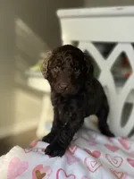 processed/6e35611e-91a1-4f55-a270-ad0562519a30/listing/61286a1f-319b-429b-99a5-6b985ac04cdc/c800442b-4ae1-4940-915d-4a5ccd611ae3