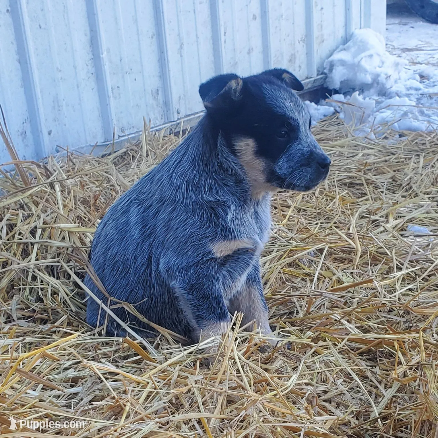 processed/6e37d7cc-670e-49ab-9ae0-06f455d136a1/listing/3c406dfa-4283-43e1-b562-5bd042d4919b/726b8cfa-cb06-45b6-aa6a-2044b66d7271