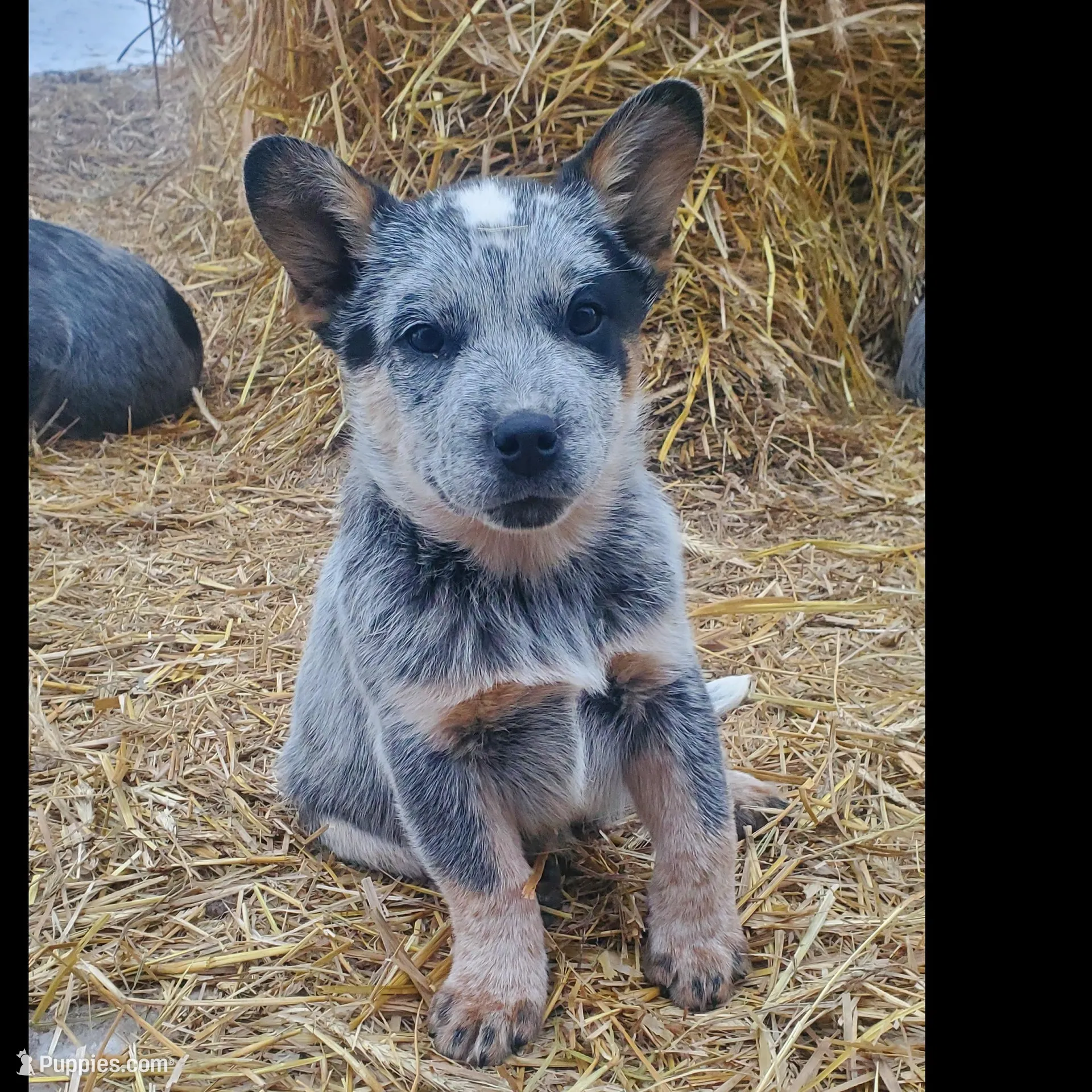 processed/6e37d7cc-670e-49ab-9ae0-06f455d136a1/listing/914cd2d3-bcb1-484e-8bbb-444d361ec749/e04158c5-38f0-432c-baaf-dc7a01d5d2a5