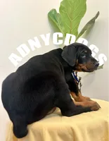 processed/6e418636-6038-402e-99b3-e1511662e239/listing/58078c55-2b35-4432-a05d-e285128282b9/8abc0c92-7e61-4fd8-a63a-550d0f72ef23