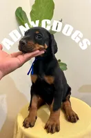 processed/6e418636-6038-402e-99b3-e1511662e239/listing/58078c55-2b35-4432-a05d-e285128282b9/eb759914-1cd7-400e-bcc5-1d1ef881588e