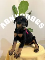 processed/6e418636-6038-402e-99b3-e1511662e239/listing/82ebc571-f47c-45a6-915c-5acb759dbd34/12785d13-2fa4-4f31-a871-7b6d4c33e242