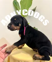 processed/6e418636-6038-402e-99b3-e1511662e239/listing/82ebc571-f47c-45a6-915c-5acb759dbd34/16af0de4-393d-4afb-96f0-52558aa39cd5