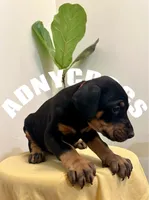 processed/6e418636-6038-402e-99b3-e1511662e239/listing/82ebc571-f47c-45a6-915c-5acb759dbd34/171340b5-b747-41e7-be94-3f039acd1f70