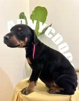 processed/6e418636-6038-402e-99b3-e1511662e239/listing/82ebc571-f47c-45a6-915c-5acb759dbd34/99d4d565-3da7-43f6-9eba-93c3e523bb82