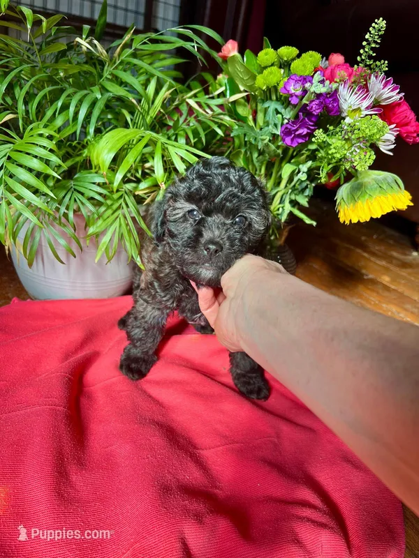 💙💙 Riley 💙💙