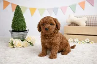 processed/6e47a9da-6224-4347-96a4-aad77e055a4a/listing/119e8a69-b935-4a03-96ef-5fb055e75a33/5870f770-9ed4-463b-b173-5a1d56edcc2f