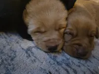 processed/6e4ae400-0373-4867-80e1-2d72c8b4f0a2/listing/e3f8b5fd-28eb-4b91-a360-c543f9cf0c0d/143ea572-3002-4b15-802e-b934d4c9ee0a