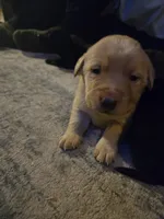 processed/6e4ae400-0373-4867-80e1-2d72c8b4f0a2/listing/e3f8b5fd-28eb-4b91-a360-c543f9cf0c0d/e95d40ac-3cb6-42b4-a35d-9932f43fc415