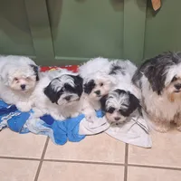 processed/6e5c0ec1-3a8f-4178-aaaf-b1446e2634f7/facility/2aa4280d-1234-4423-9c3b-bfd22fa52e15