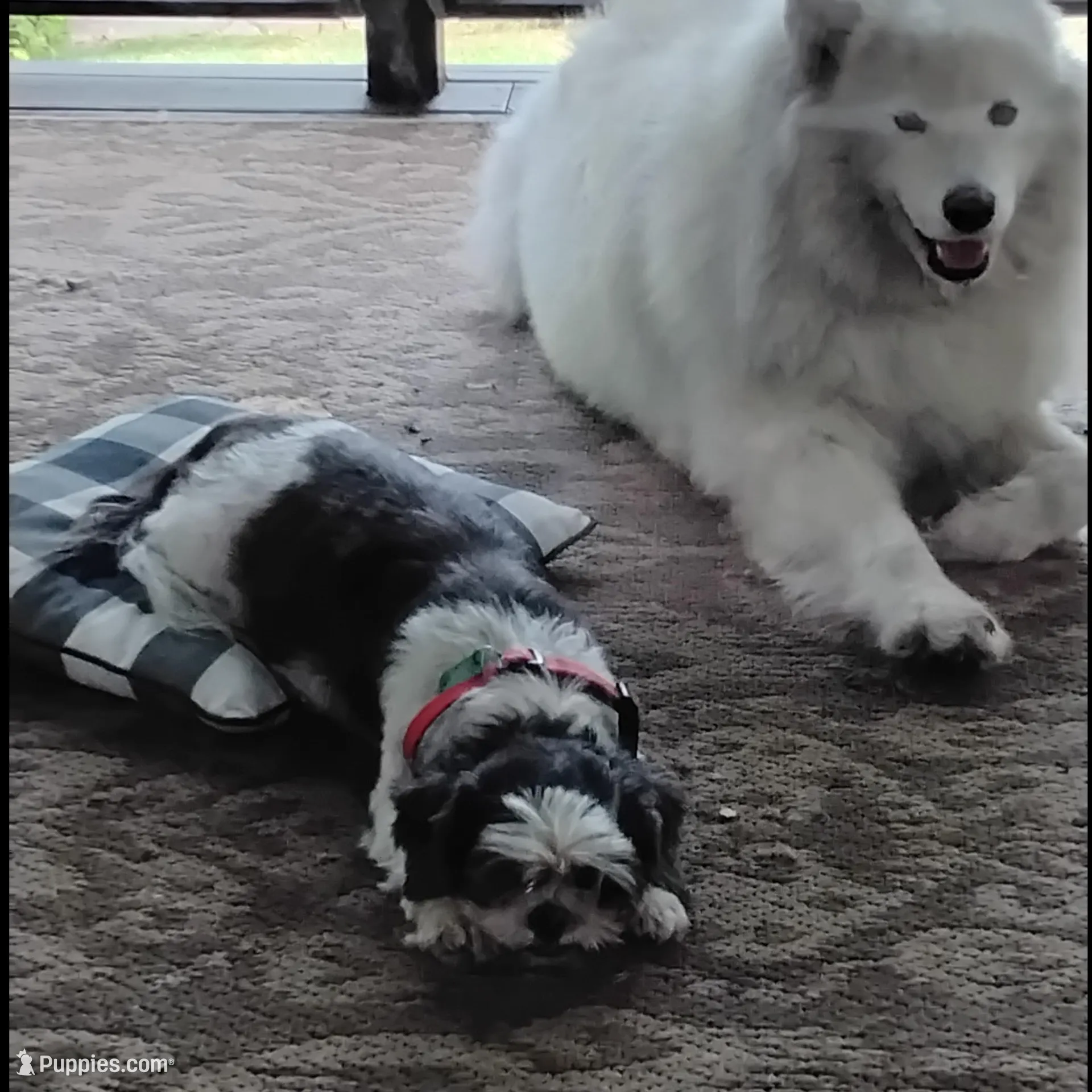 processed/6e5c0ec1-3a8f-4178-aaaf-b1446e2634f7/facility/384d739d-0f27-4053-b846-50754d22bbc8