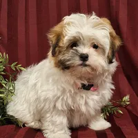 processed/6e5c0ec1-3a8f-4178-aaaf-b1446e2634f7/facility/65b095cd-e24d-4b26-944a-cdadf478adf6