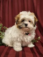 processed/6e5c0ec1-3a8f-4178-aaaf-b1446e2634f7/facility/65b095cd-e24d-4b26-944a-cdadf478adf6