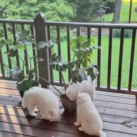 processed/6e5c0ec1-3a8f-4178-aaaf-b1446e2634f7/facility/69c84b01-9f0a-4f38-8dd8-14d767adf2be