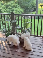 processed/6e5c0ec1-3a8f-4178-aaaf-b1446e2634f7/facility/69c84b01-9f0a-4f38-8dd8-14d767adf2be