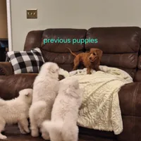 processed/6e5c0ec1-3a8f-4178-aaaf-b1446e2634f7/facility/b03ebf5d-3709-4452-a92d-d99f1f22b67b