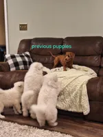 processed/6e5c0ec1-3a8f-4178-aaaf-b1446e2634f7/facility/b03ebf5d-3709-4452-a92d-d99f1f22b67b