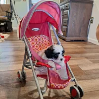 processed/6e5c0ec1-3a8f-4178-aaaf-b1446e2634f7/facility/b80f96ec-9cb2-422d-b67b-7c0eafdab889