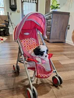 processed/6e5c0ec1-3a8f-4178-aaaf-b1446e2634f7/facility/b80f96ec-9cb2-422d-b67b-7c0eafdab889