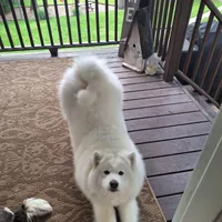 processed/6e5c0ec1-3a8f-4178-aaaf-b1446e2634f7/facility/bb46164b-6f1a-4437-8e1e-421bebbfccd4