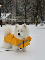 processed/6e5c0ec1-3a8f-4178-aaaf-b1446e2634f7/facility/d59e2d59-17b6-45d6-a79f-79d974db0fc8