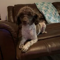 processed/6e6871b5-4b72-4443-8b10-aad3600954a9/facility/2a0dee00-47dd-494e-965f-99aa1413ba60