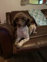 processed/6e6871b5-4b72-4443-8b10-aad3600954a9/facility/2a0dee00-47dd-494e-965f-99aa1413ba60