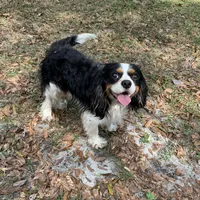 processed/6e6871b5-4b72-4443-8b10-aad3600954a9/facility/660079dd-42ef-42f9-905b-8a5111fec451