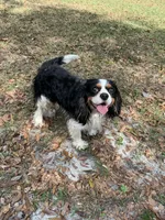 processed/6e6871b5-4b72-4443-8b10-aad3600954a9/facility/660079dd-42ef-42f9-905b-8a5111fec451