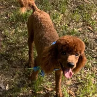 processed/6e6871b5-4b72-4443-8b10-aad3600954a9/facility/688bef43-77da-400c-80fb-685d106c3ac0