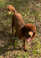 processed/6e6871b5-4b72-4443-8b10-aad3600954a9/facility/688bef43-77da-400c-80fb-685d106c3ac0