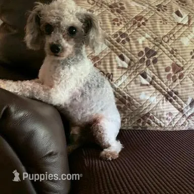 processed/6e6871b5-4b72-4443-8b10-aad3600954a9/facility/8f2012fa-b14c-4dee-aeac-3103b29a7b51