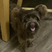 processed/6e6871b5-4b72-4443-8b10-aad3600954a9/facility/bc878288-9474-4eb5-ad62-21295d74a480