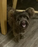 processed/6e6871b5-4b72-4443-8b10-aad3600954a9/facility/bc878288-9474-4eb5-ad62-21295d74a480