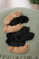 processed/6e689e7d-0609-4936-b2c9-3b68e04e3b53/listing/51ccdec3-3dd0-4a34-8680-4eb2318bd424/06fbb378-88cb-4a6d-a9e8-a1468079ef4b