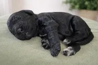 processed/6e689e7d-0609-4936-b2c9-3b68e04e3b53/listing/51ccdec3-3dd0-4a34-8680-4eb2318bd424/a30617ef-ba5c-4eb9-a557-18880a11575b