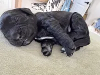 processed/6e689e7d-0609-4936-b2c9-3b68e04e3b53/listing/51ccdec3-3dd0-4a34-8680-4eb2318bd424/b042f63f-5b6d-4fff-a4f2-3b2ed587ea43