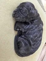 processed/6e689e7d-0609-4936-b2c9-3b68e04e3b53/listing/51ccdec3-3dd0-4a34-8680-4eb2318bd424/e522fa78-9a23-4390-bca8-357e1433717b