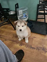 processed/6e6d83fa-828e-459e-b103-c960cb85f73c/listing/249e46d6-603d-4f57-987d-cbed59b38e0a/06a79aab-9942-46d4-b2d1-49249883c3b2