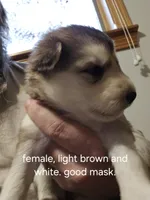 processed/6e6d83fa-828e-459e-b103-c960cb85f73c/listing/249e46d6-603d-4f57-987d-cbed59b38e0a/6a04d2a7-f2ef-473e-bf87-22d7aa25b864